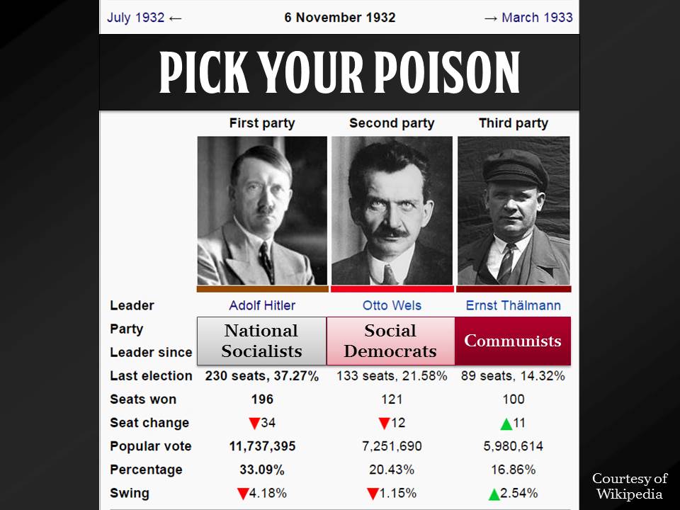 Adolf Hitler's Rise to Power - 1932 Election